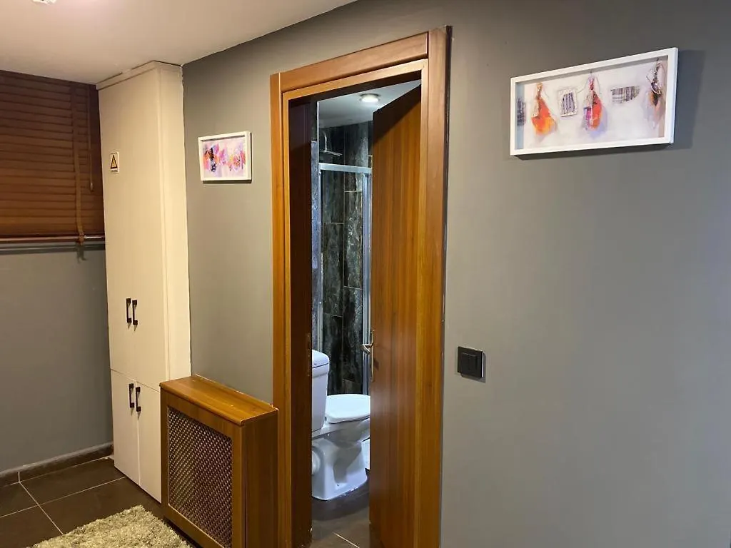Rose House Apartment Istanbul Turkey